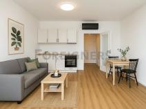 Pronájem bytu 1+kk, Brno, Komárovská, 39 m2