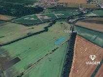 Prodej podílu pole, Čečelice, 2616 m2