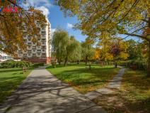 Prodej bytu 2+kk, Litvínov - Horní Litvínov, Koldům, 52 m2