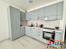 Pronájem bytu 1+kk, Ostrava, F. X. Riepla, 40 m2