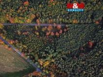 Prodej lesa, Luže - Bělá, 26435 m2