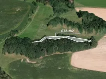 Prodej lesa, Zahořany, 678 m2