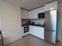 Pronájem bytu 1+kk, Praha - Žižkov, Hartigova, 39 m2
