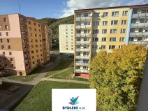 Pronájem bytu 3+1, Krupka, Karla Čapka, 79 m2