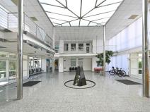 Pronájem kanceláře, Praha - Prosek, Litvínovská, 309 m2