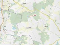 Dražba lesa, Žirovnice, 19314 m2