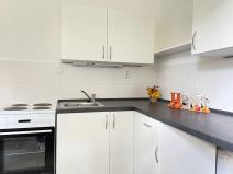 Pronájem bytu 1+1, Litvínov, Podkrušnohorská, 30 m2