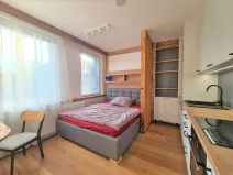 Prodej bytu 1+kk, Praha - Vinohrady, Perucká, 28 m2