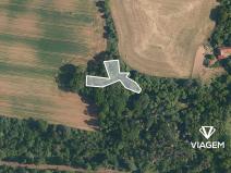 Prodej lesa, Katusice, 1936 m2