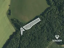 Prodej podílu lesa, Malhotice, 1965 m2