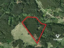 Prodej podílu lesa, Všechovice, 23376 m2