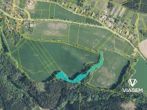 Prodej podílu lesa, Syřenov, 4521 m2