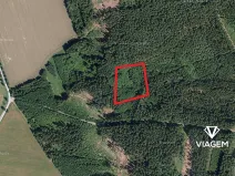 Prodej podílu lesa, Kamenice nad Lipou, 2095 m2