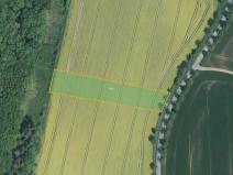 Prodej pole, Kostelany, 6312 m2