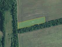 Prodej pole, Medlov, 4953 m2