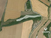 Prodej pole, Hřivice, 3572 m2