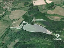 Prodej podílu lesa, Bojkovice, 647 m2