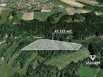 Prodej lesa, Loužnice, 41323 m2