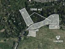 Prodej lesa, Ústí nad Labem, 5998 m2