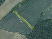 Prodej pole, Mutěnice, 5978 m2