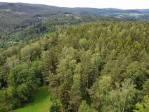 Prodej pozemku, Rejštejn, 1798 m2