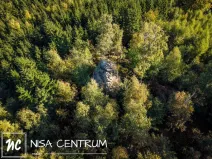 Prodej lesa, Šimonovice, 30343 m2