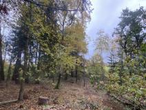 Prodej lesa, Srbice - Těšovice, 3279 m2