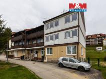 Prodej bytu 1+kk, Lipno nad Vltavou, 20 m2