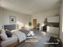 Pronájem bytu 1+kk, Ostrava, Stará cesta, 37 m2