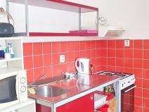 Pronájem bytu 1+1, Brno - Veveří, Úvoz, 38 m2