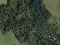 Prodej lesa, Štíty, 93672 m2