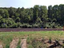 Prodej lesa, Benešov nad Ploučnicí, 16364 m2