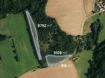 Prodej lesa, Hluboká nad Vltavou - Kostelec, 18716 m2