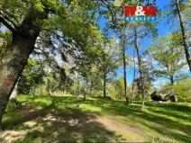 Prodej lesa, Petrovice - Žemličkova Lhota, 3719 m2