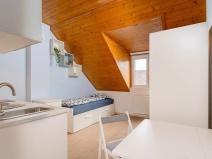 Prodej bytu 1+kk, Praha - Krč, Čerčanská, 19 m2