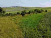 Prodej pole, Bučovice, 3134 m2