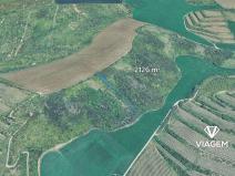 Prodej pole, Nosislav, 2126 m2