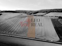 Prodej pozemku pro bydlení, Snovídky, 4700 m2