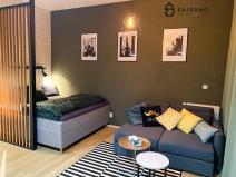 Pronájem bytu 1+kk, Brno, Spolková, 39 m2