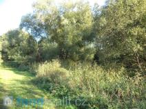 Prodej pozemku, Blažejov - Oldřiš, 313 m2