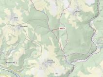 Dražba lesa, Jílové u Držkova, 1684 m2