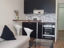 Pronájem bytu 1+kk, Praha, Hornoměcholupská, 22 m2