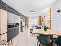 Prodej bytu 3+1, Plzeň - Jižní Předměstí, Alešova, 73 m2