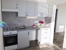 Prodej bytu 2+1, Ostrava - Bělský Les, Vlasty Vlasákové, 44 m2