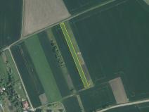 Prodej pole, Želatovice, 4398 m2