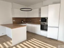 Pronájem bytu 1+kk, Olomouc - Nová Ulice, Karla Mareše, 50 m2