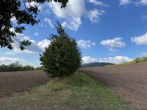 Prodej lesa, Lánov - Horní Lánov, 4009 m2