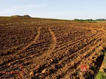 Prodej pole, Bohdašín, 54810 m2