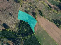Prodej lesa, Staré Bříště, 3075 m2