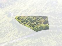 Prodej sadu/vinice, Troskovice, 8502 m2